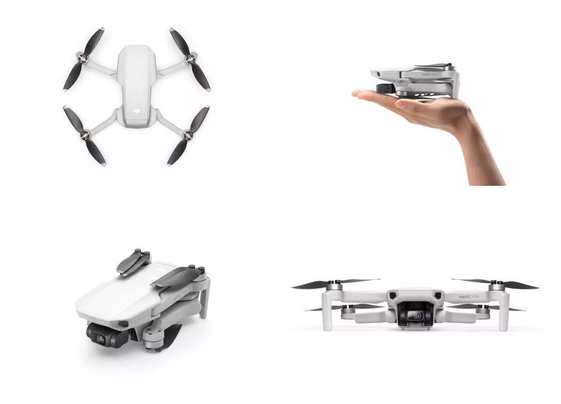 Mavic mini one online